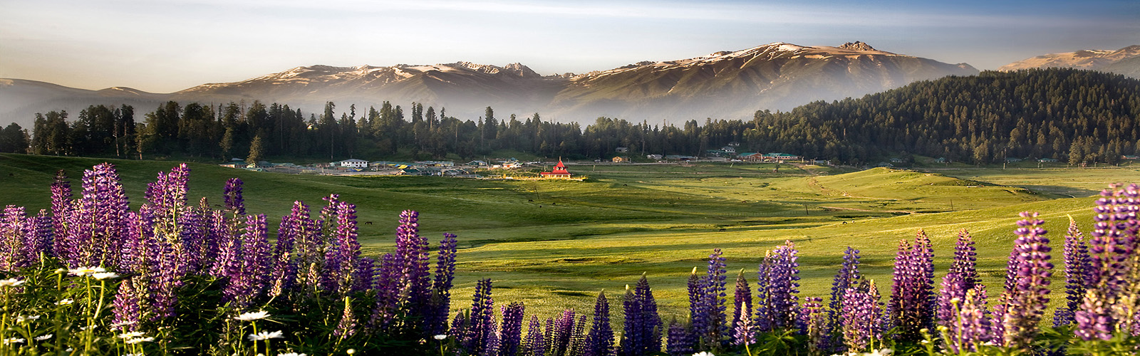 Travel Agent Jammu