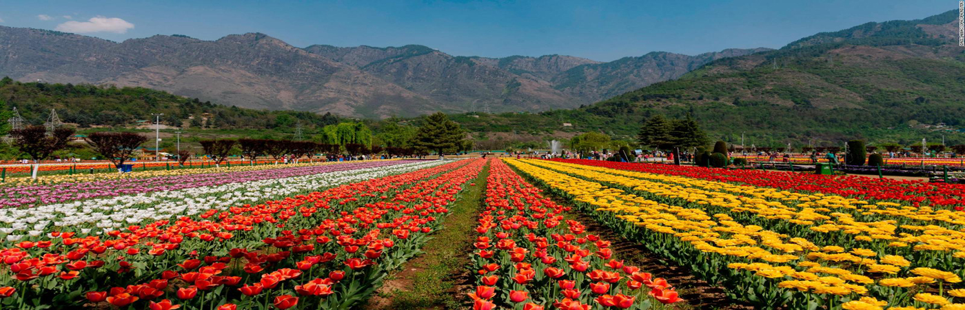 Tour Operator Jammu